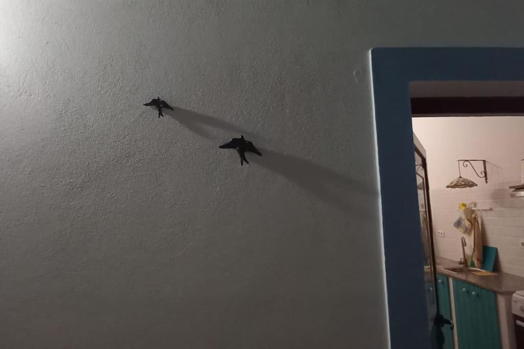 فيلا Casa Margarida ألبيرونا المظهر الخارجي الصورة
